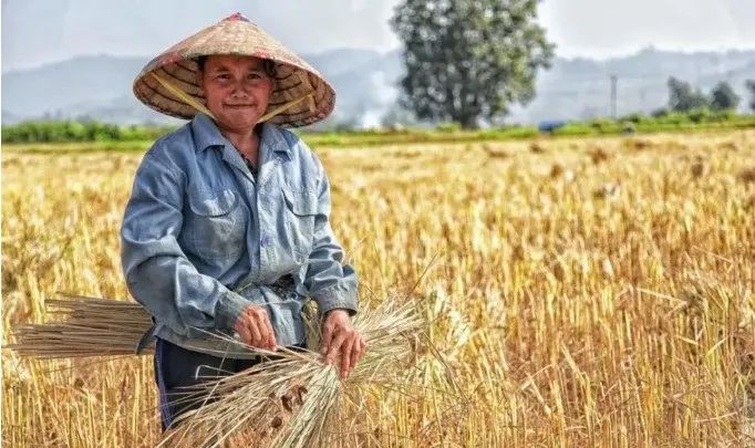 【模式研究】未來(lái)20年，4種農(nóng)業(yè)新模式將崛起！