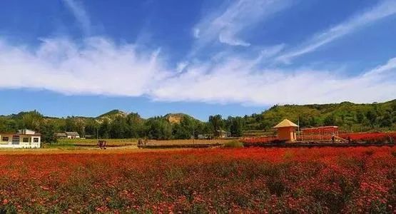 【政策解讀】社會資本投資現(xiàn)代農(nóng)業(yè)的主要模式、實現(xiàn)路徑、面臨問題及發(fā)展趨勢