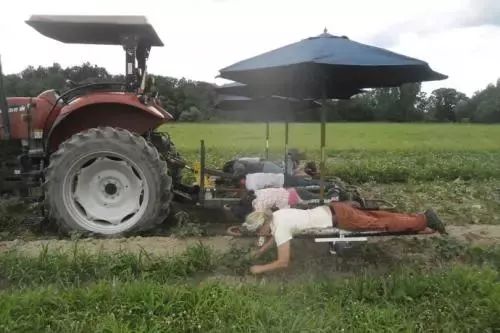 【鄉村振興案例】鄉村振興怎么干，看看這個國家對我們有啥啟發