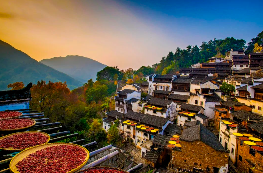 【縣域經(jīng)濟】張紅宇：中國特色鄉(xiāng)村產(chǎn)業(yè)發(fā)展的道路選擇