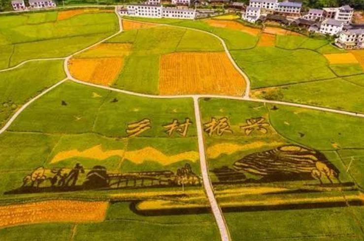 【鄉村振興】匯總2025年30個鄉村振興相關補貼，最高1650億（收藏版）