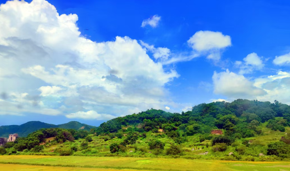 破解鄉村品牌密碼:6大要素、6種創新模式、4條實踐路徑、10個經典案例!