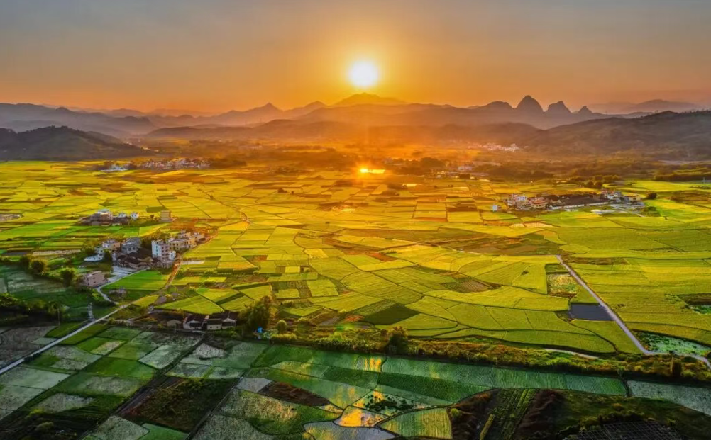 鄉村全面振興,23種鄉村產業模式