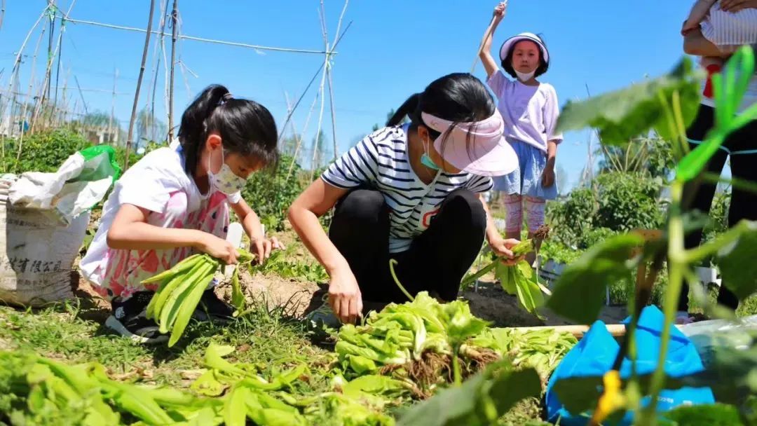 【實操經驗】采摘是最符合休閑農場氣質的項目，沒有之一