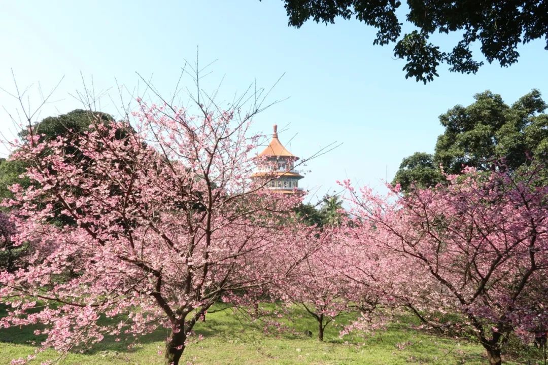 【模式研究】休閑農(nóng)業(yè)的30種產(chǎn)品類型