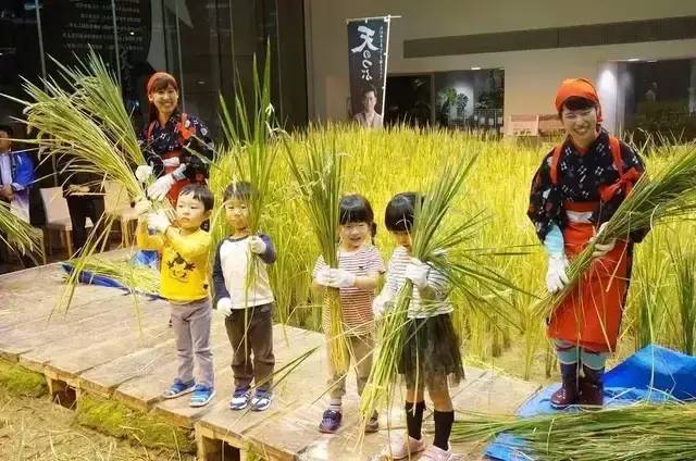 全球都市農業的5種模式解讀：不僅僅是模式競爭，更是產業競爭!