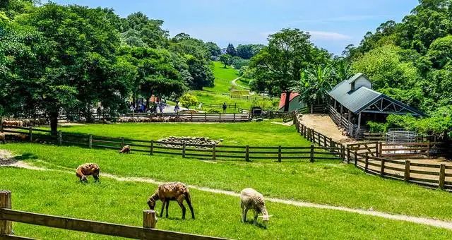 【休閑農業產業鏈】全國休閑農業重點縣申報條件、申報材料、流程、評審