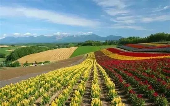 【世界農業案例】日本農業“第六產業”到底是什么？