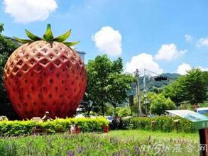 新型休閑農(nóng)業(yè)發(fā)展模式有哪些？（內(nèi)附案例）