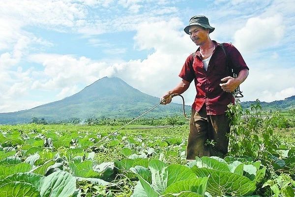 農(nóng)藥行業(yè)未來(lái)面臨五大趨勢(shì)！別死磕，請(qǐng)順流而為