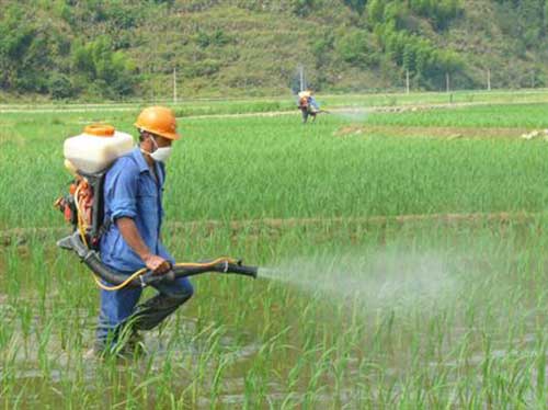 農(nóng)藥沒效果？是你的方法沒用對(duì)吧！