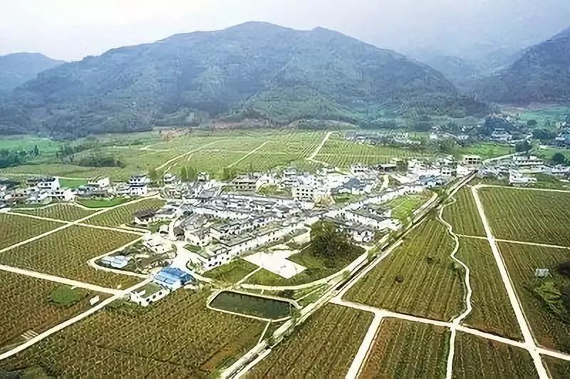 全國僅4個！“國家農業高新技術產業示范區”怎么建？