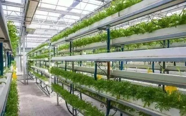 【政策解讀】我國將建設10000家地方生態農場，這些政策請悉知