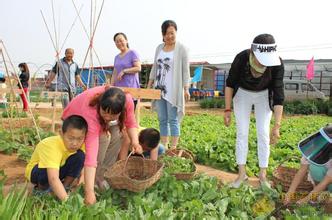 家庭農場全篇！看看發展家庭農場的優勢、條件和規模！