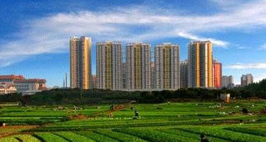 你的地理位置，決定了家庭農(nóng)場的類型！