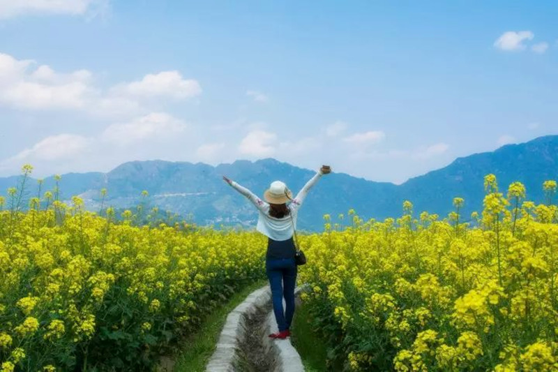 預(yù)測|從鄉(xiāng)村振興戰(zhàn)略，看農(nóng)業(yè)10大新爆點(diǎn)
