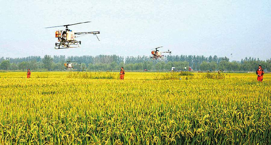 三農(nóng)日?qǐng)?bào)|2017中央財(cái)政安排涉農(nóng)資金6.53億元；專(zhuān)家：4步成功打造億元生鮮爆品