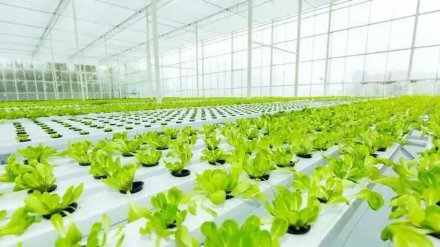 三農日報|政策：支持農業產業化聯合體發展；業內：產地冷鏈需要配套設施建設