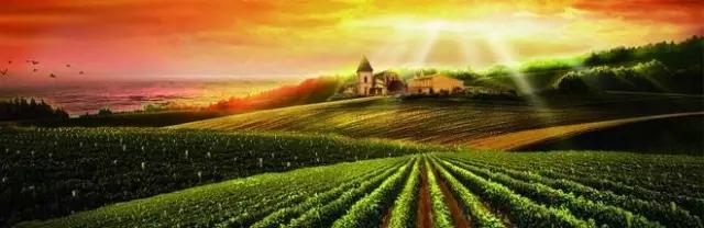 微信圖片_20180102092557  2.jpg