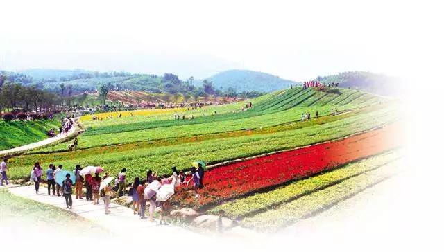 微信圖片_20180102092638   10.jpg