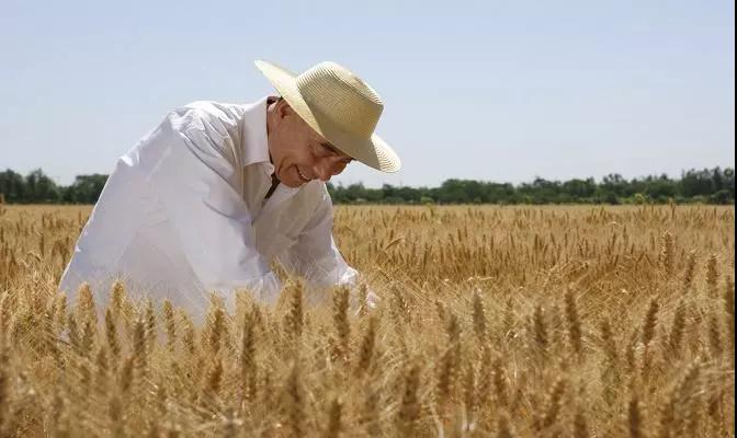 微信圖片_20180102092608  4.jpg