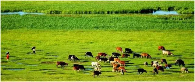 微信圖片_20180102092622  7.jpg