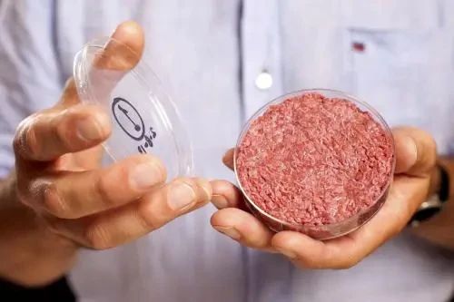 雙匯發展愛上“人造肉”？