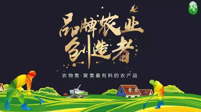 獨家分享|農物集聯合創始人馬大為：尋找農產品上行的壓艙石