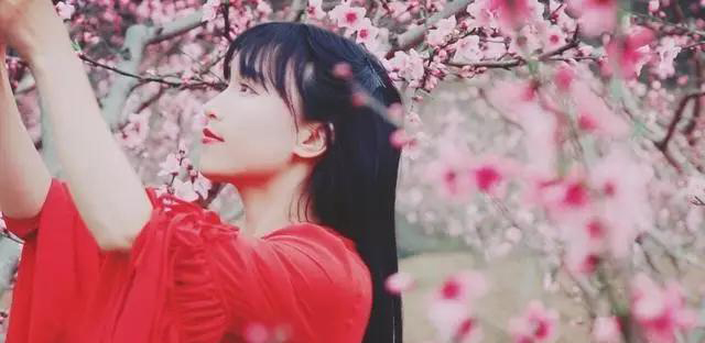 李子柒的后院看看就行了，現代果園還得靠它們打理！