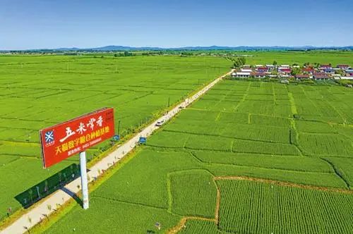 【政策解讀】農業農村部：加強農產品產地倉與冷鏈物流建設