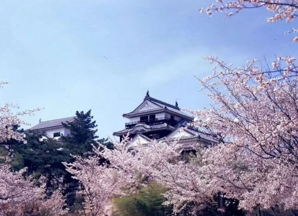 【世界農業案例】日本愛媛縣如何用農產品打造目的地品牌 ?