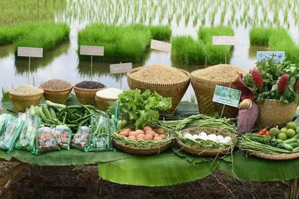 大變局！未來農產品靠什么競爭