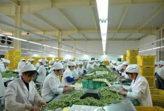 農產品加工業怎樣賺到錢？農業部這11個實問實答不得不看！