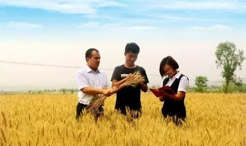 2019年農業六大政策！看過的人都收藏啦！