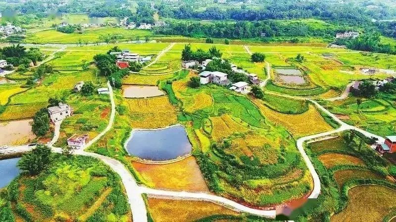 【政策解讀】四部門：推進政策性開發(fā)性金融支持農(nóng)業(yè)農(nóng)村基礎(chǔ)設(shè)施建設(shè)