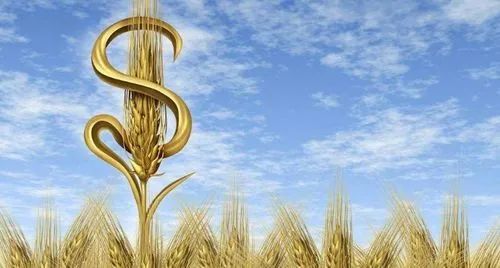 【政策解讀】2023年中央預(yù)算內(nèi)投資，重點支持這11個農(nóng)業(yè)建設(shè)項目
