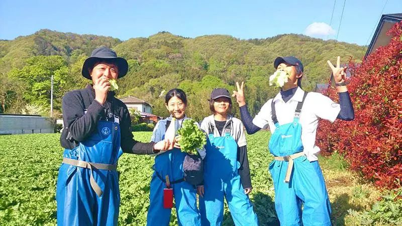 重磅研究|日本如何搞“一村一品”（附案例分析）