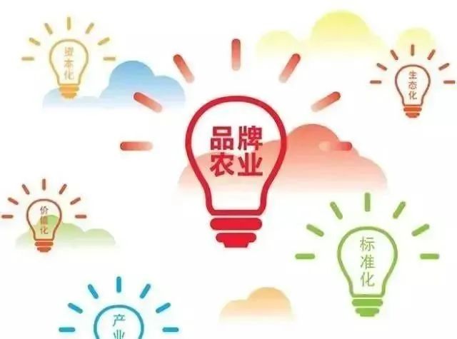 【品牌農業】地理標志農產品如何打造農業品牌？