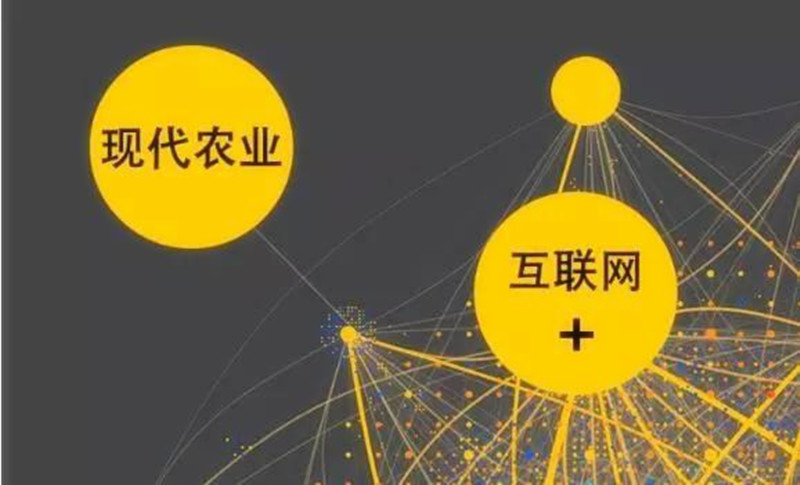 告別“土特產時代”，這才是農產品“走出去”的最有效方式！