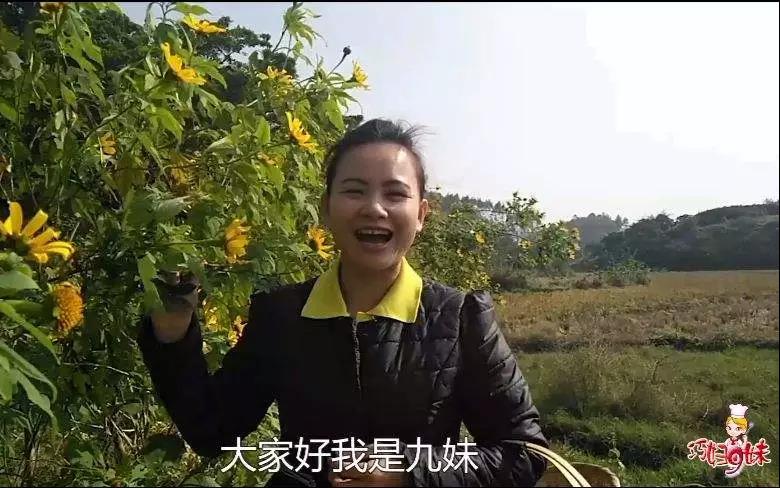 案例研究|農民網紅“巧婦9妹”為何能成功？