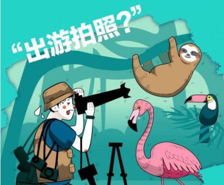 營銷教科書: 揭秘京東手機618不走套路的實戰秘籍