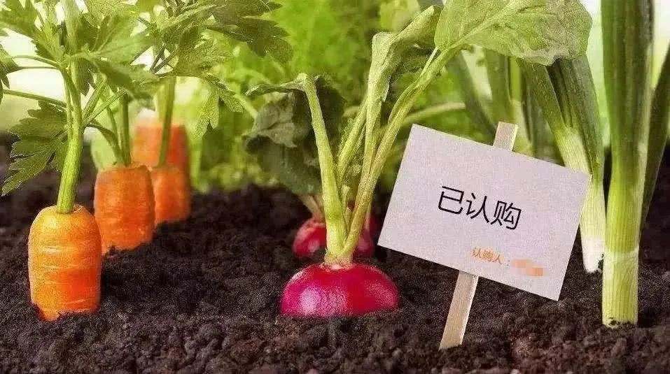 【模式研究】農(nóng)業(yè)投資創(chuàng)業(yè)要知道的9個營銷模式