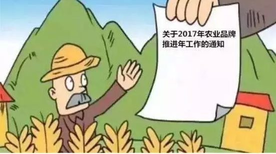 國家發力推進農產品品牌，農民如何抓住這次機遇？