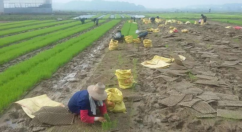 2016農業生產救災資金34.89億，我們要如何申領