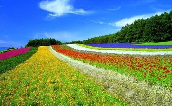2016年上半年旅游與休閑農業都有哪些政策？