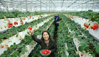 農(nóng)業(yè)部副部長(zhǎng)陳曉華：休閑農(nóng)業(yè)和鄉(xiāng)村旅游成經(jīng)濟(jì)社會(huì)發(fā)展新亮點(diǎn)
