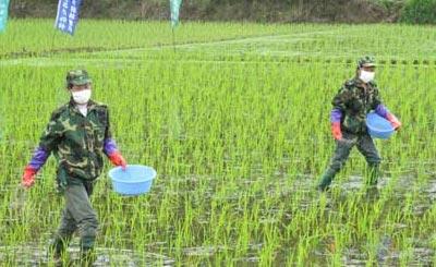 農業部：造就培養高素質農業生產經營者隊伍