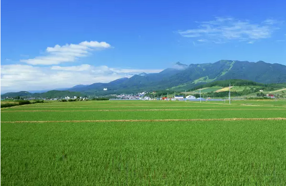 農村合作社該如何申請？六步教你搞定