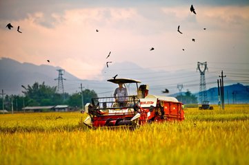 農業十大風口：互聯網農業、光伏農業、第六產業....都是千億級別