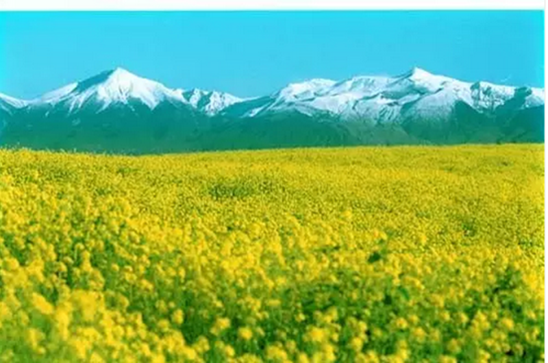 重磅|未來十年，300個農業項目，政策、機會看這里！